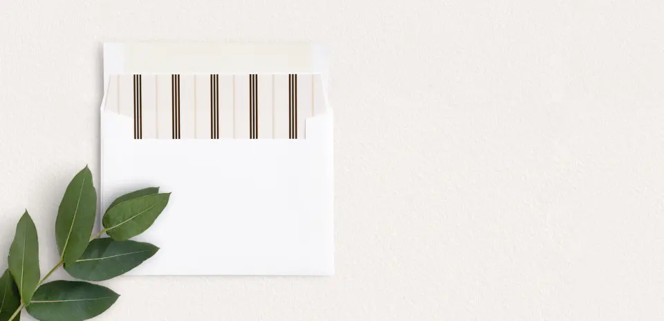 Envelope Liner inside Envelope