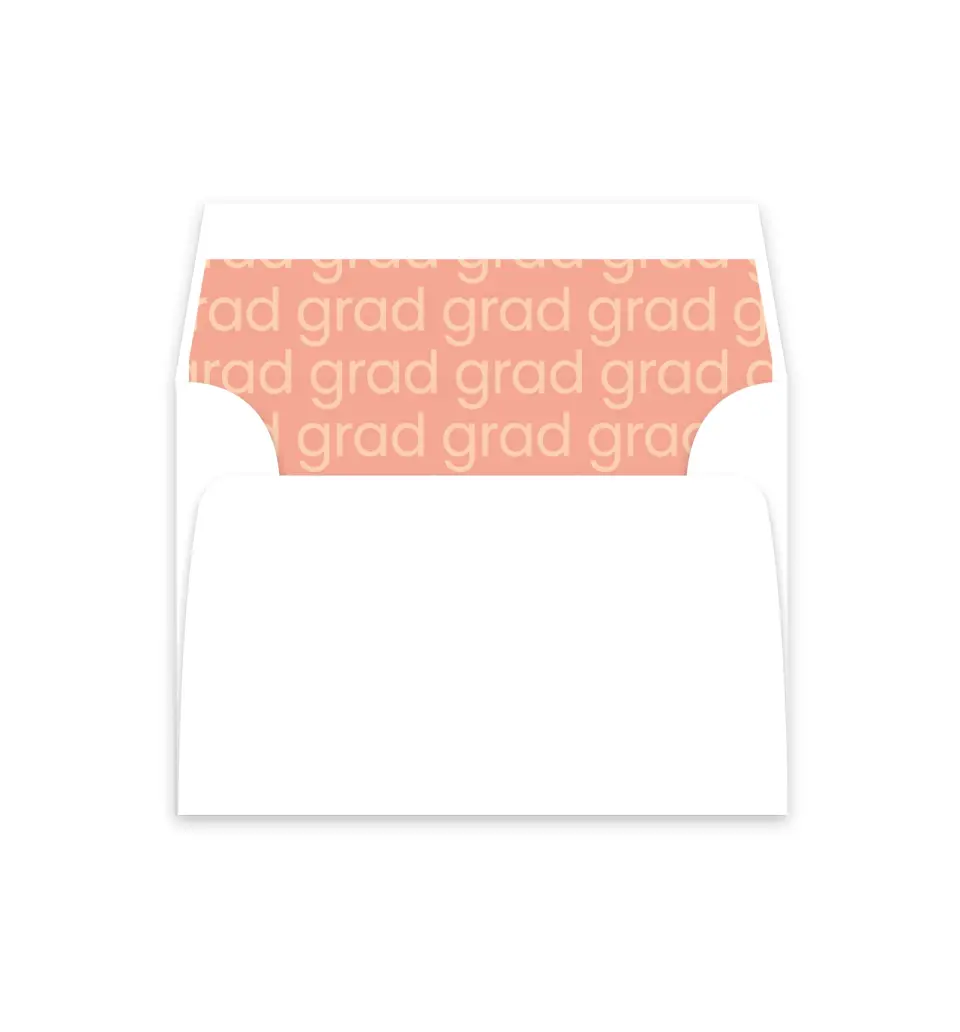 This is a  4⅞" x 4.563" Envelope Liners (ELM) called Sans Serif Grad printed in full color