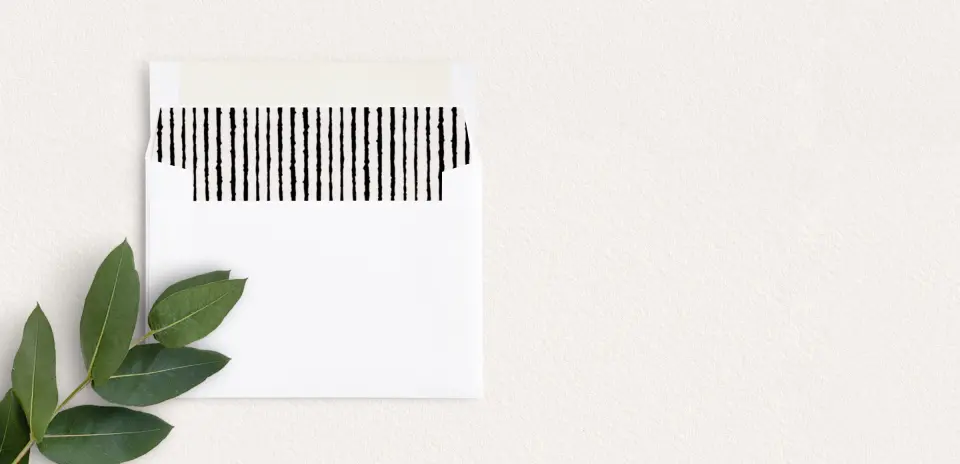 Envelope Liner inside Envelope