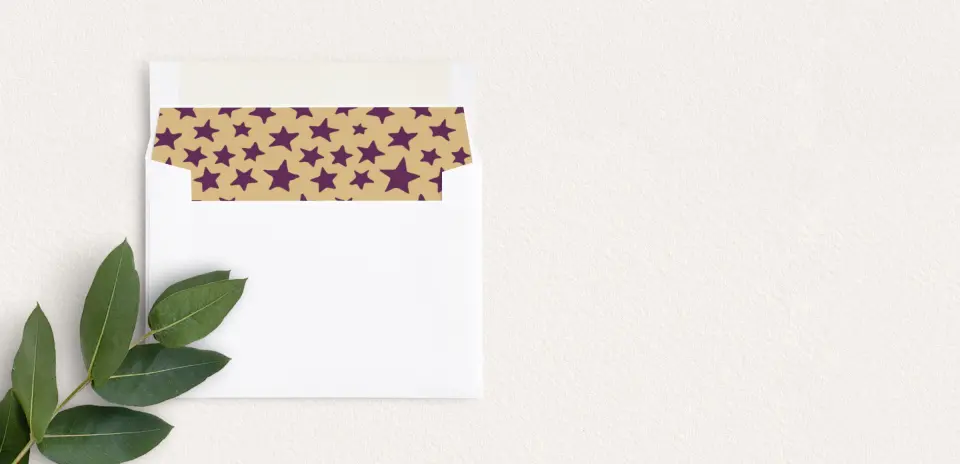 Envelope Liner inside Envelope
