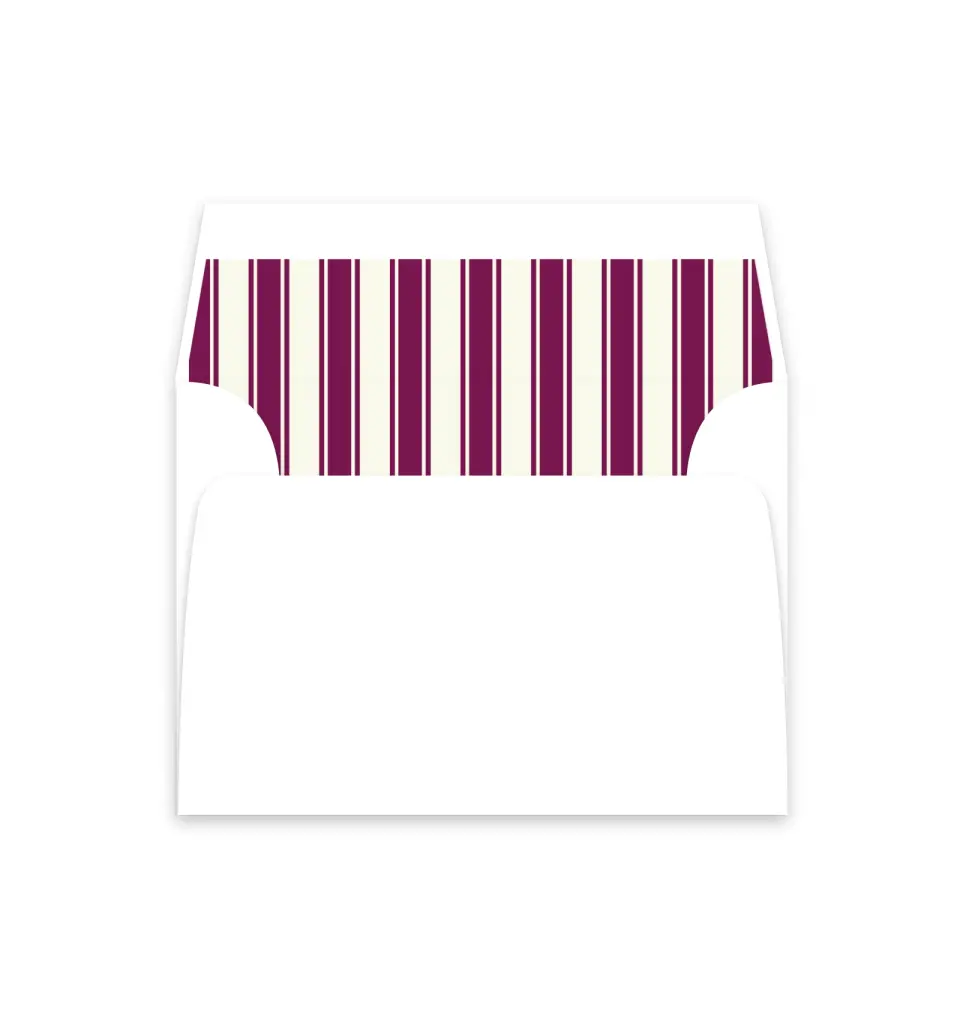 This is a  4⅞" x 4.563" Envelope Liners (ELM) called Academic Stripes printed in full color