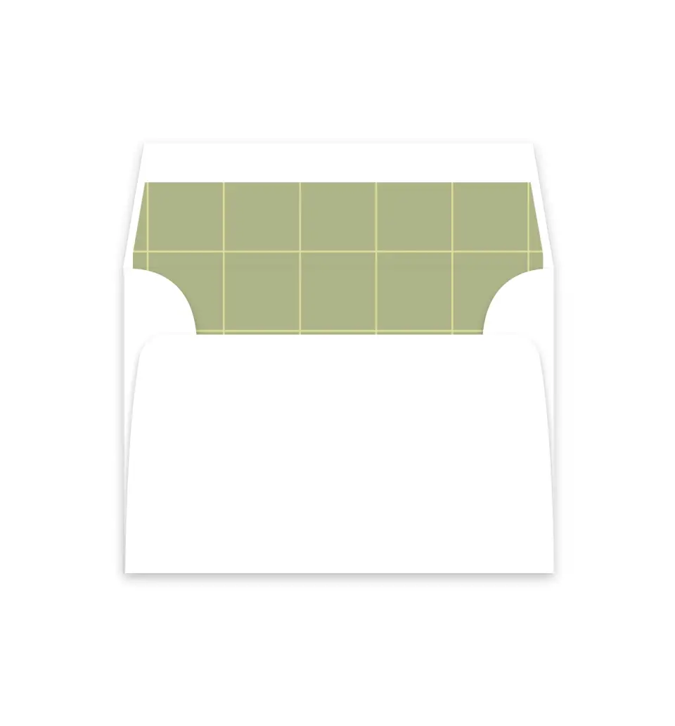 This is a  4⅞" x 4.563" Envelope Liners (ELM) called Square Grad printed in full color