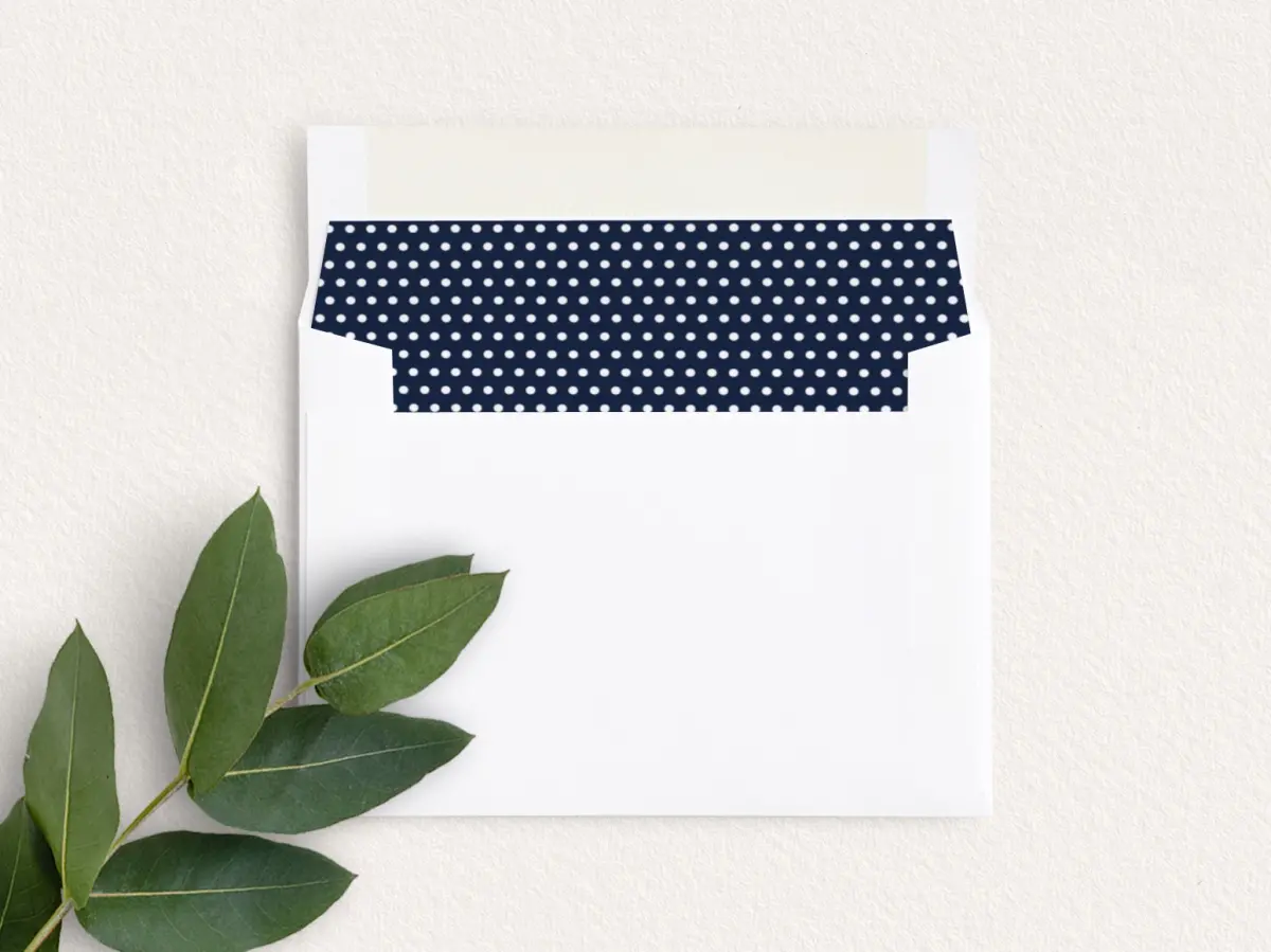 Envelope Liner inside Envelope