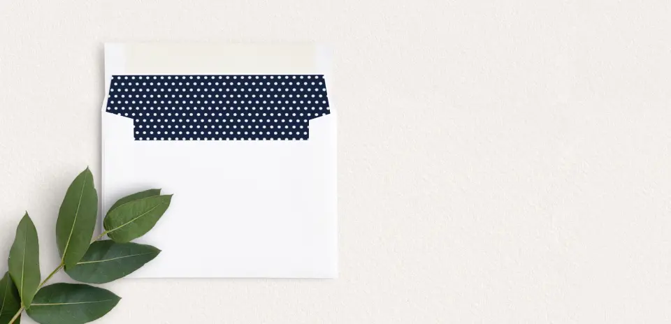 Envelope Liner inside Envelope