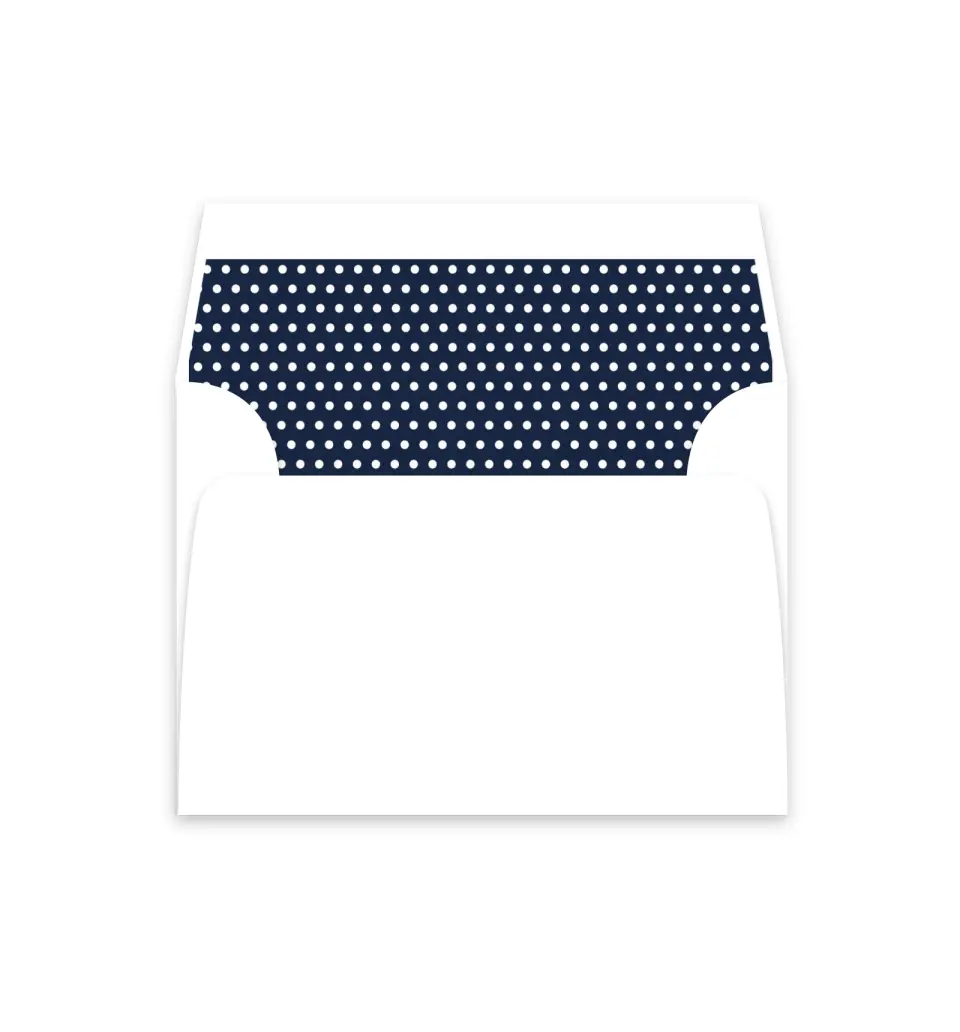 This is a  4⅞" x 4.563" Envelope Liners (ELM) called Minimal Dot printed in full color
