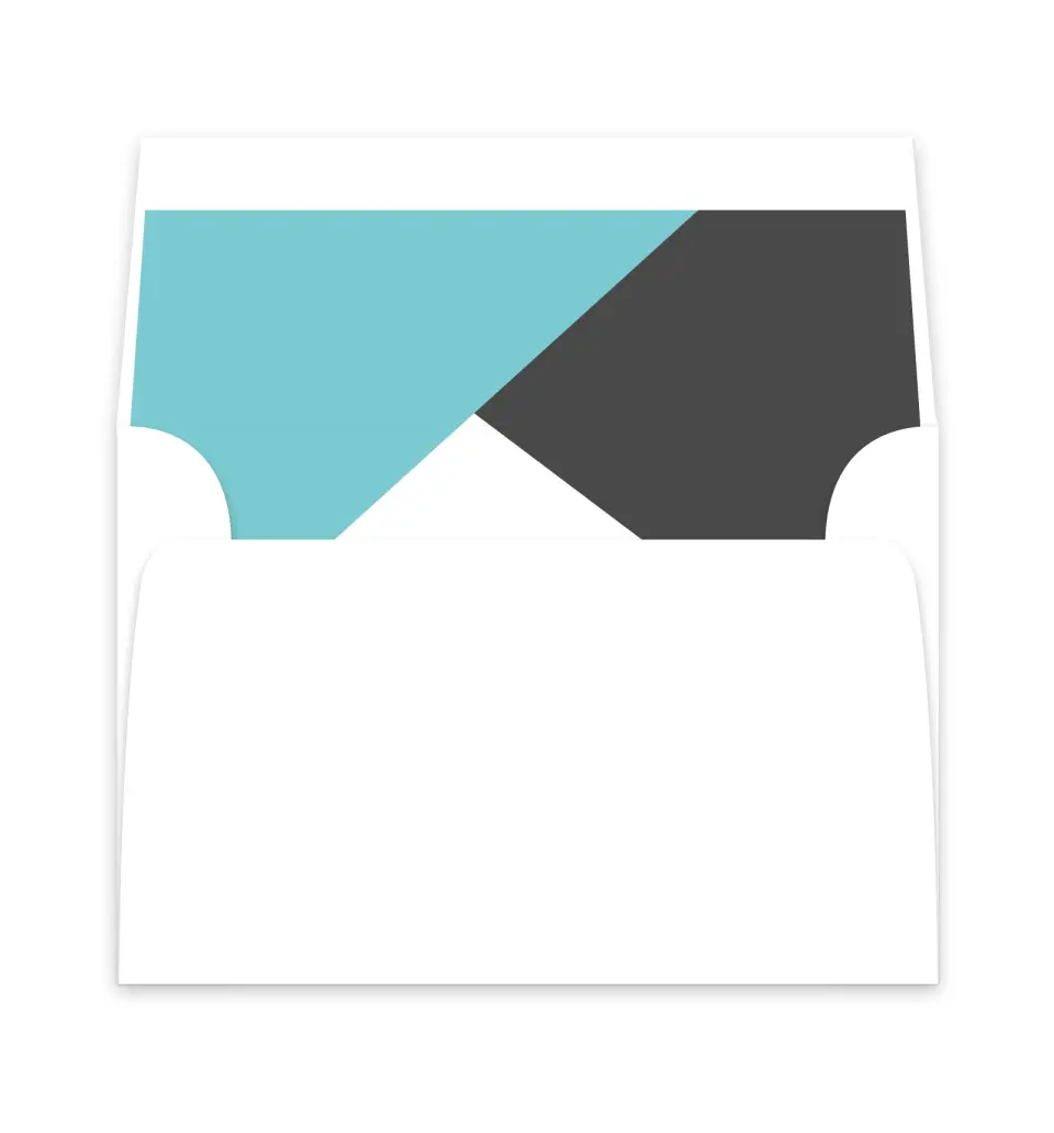 This is a  6" x 5.812" Envelope Liners (ELP) called Mod Blocks printed in full color