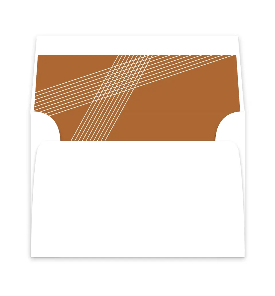 This is a  6" x 5.812" Envelope Liners (ELP) called Dashing Strands printed in full color