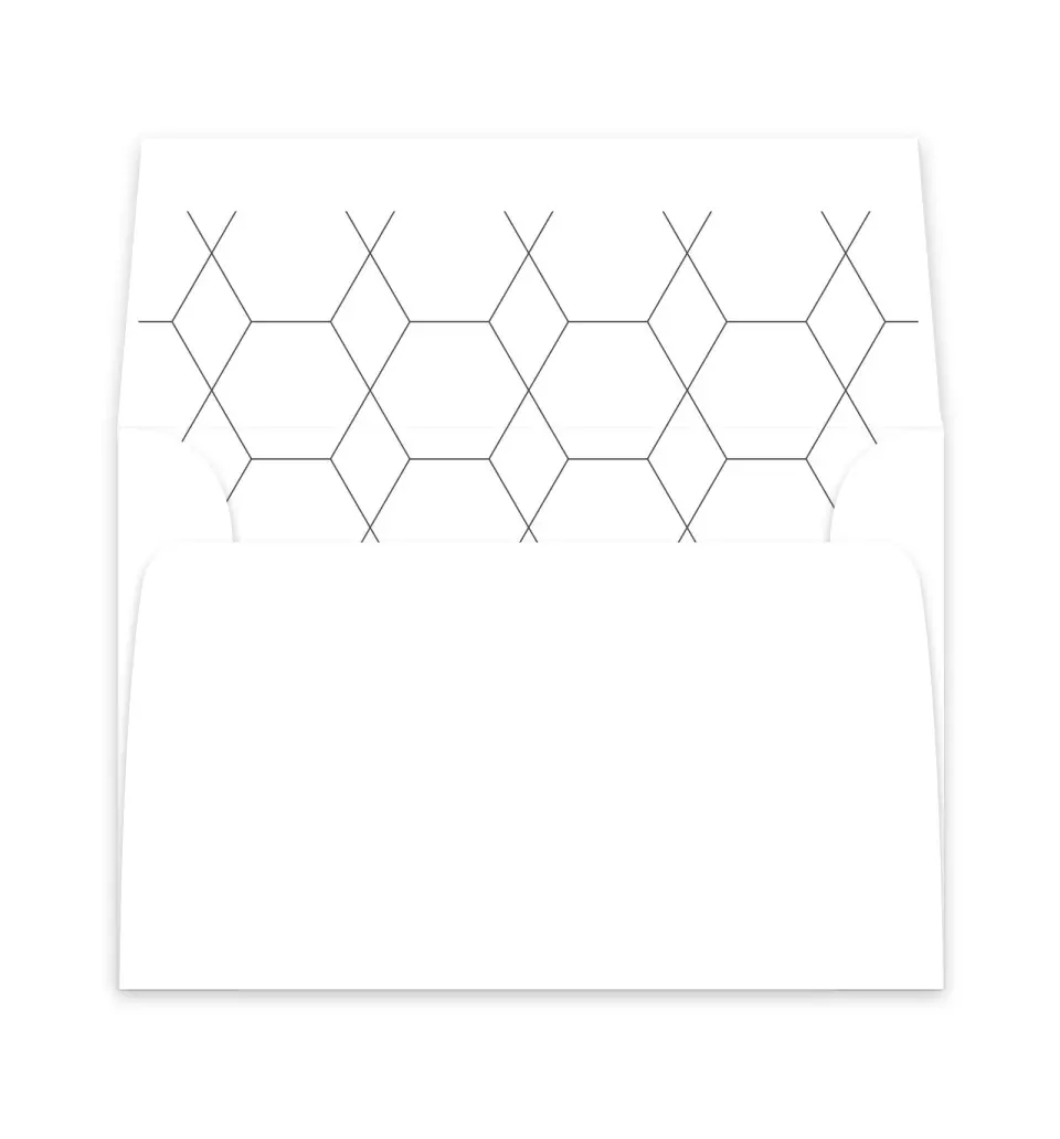 This is a  6" x 5.812" Envelope Liners (ELP) called Boldy Forward printed in full color