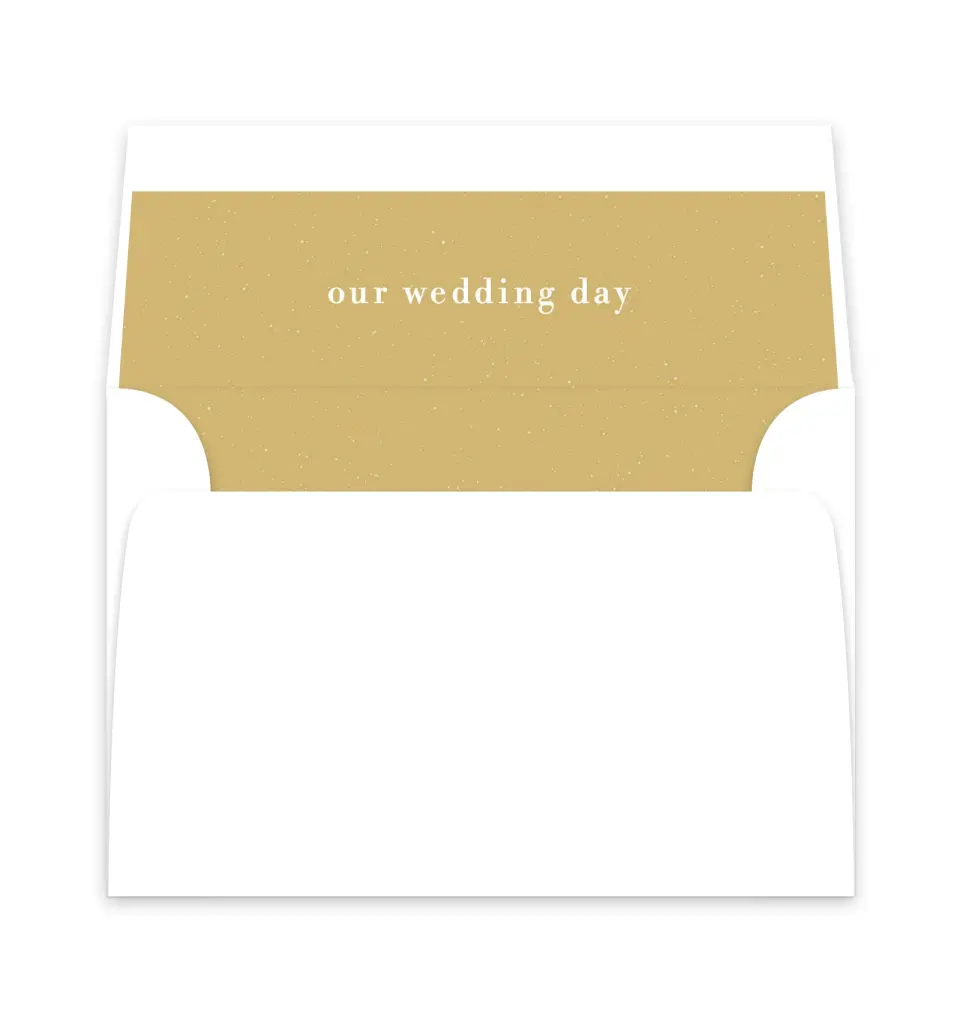 This is a  6" x 5.812" Envelope Liners (ELP) called Modern Countdown printed in full color