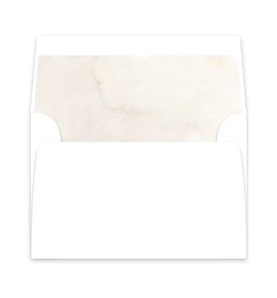 This is a  6" x 5.812" Envelope Liners (ELP) called Boho Blooms printed in full color
