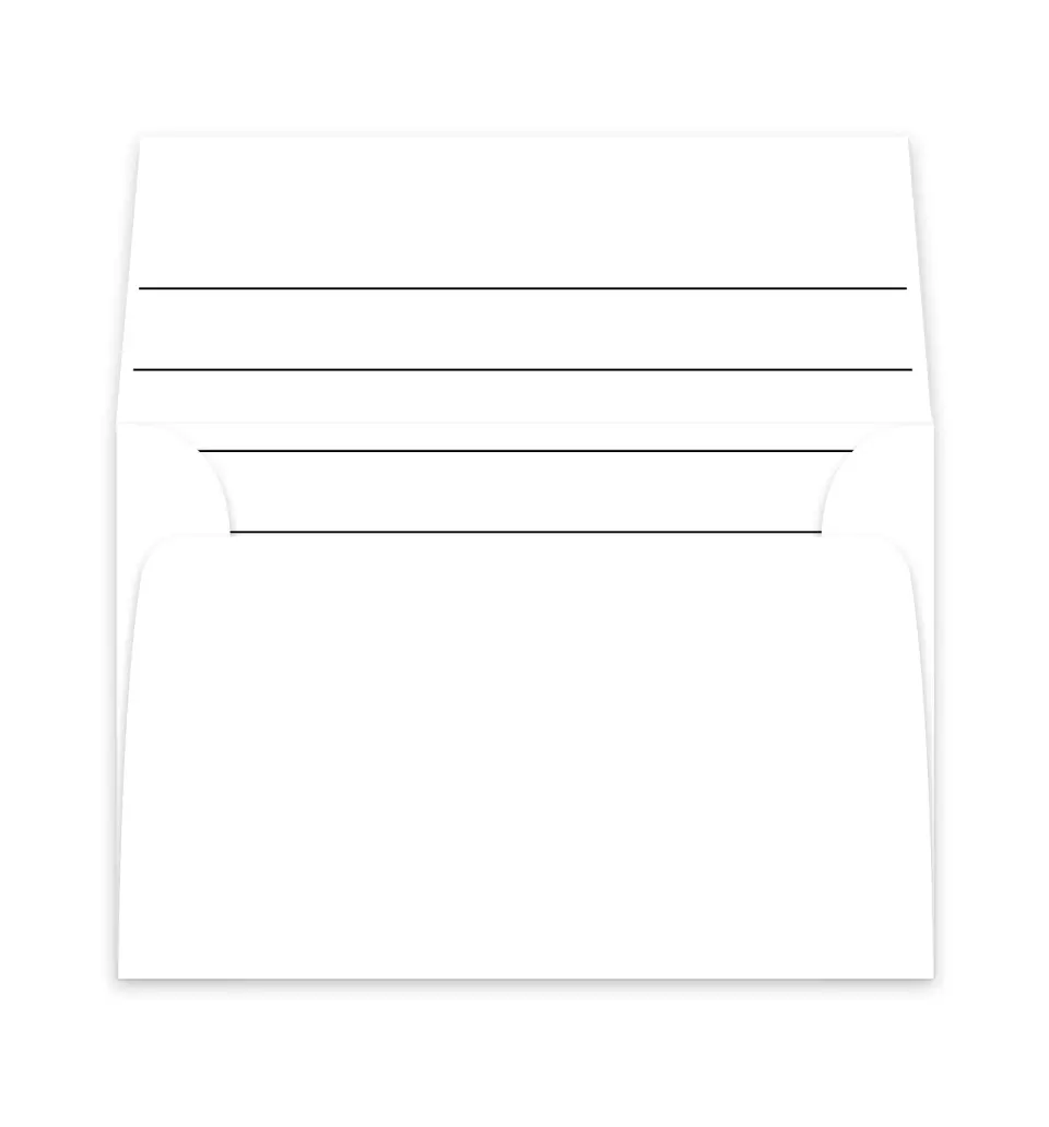 This is a  6" x 5.812" Envelope Liners (ELP) called Spacious Idea printed in full color