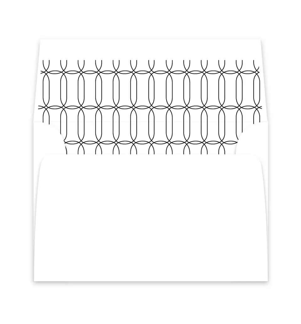 This is a  6" x 5.812" Envelope Liners (ELP) called Precise Promise printed in full color