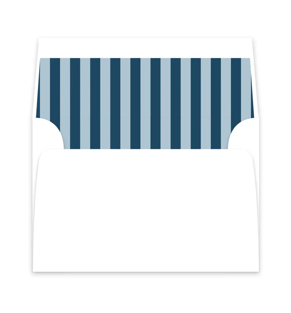 This is a  6" x 5.812" Envelope Liners (ELP) called Scholarly Stripes printed in full color