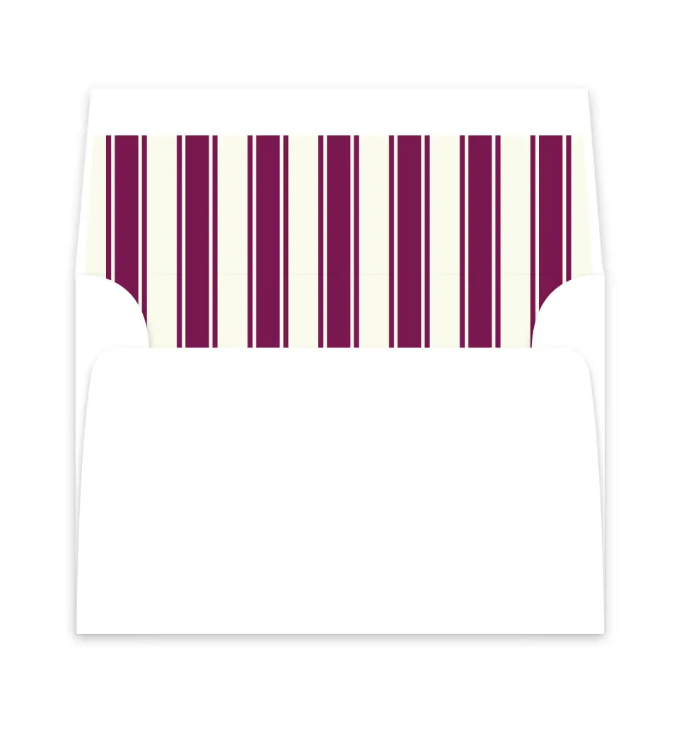 This is a  6" x 5.812" Envelope Liners (ELP) called Academic Stripes printed in full color