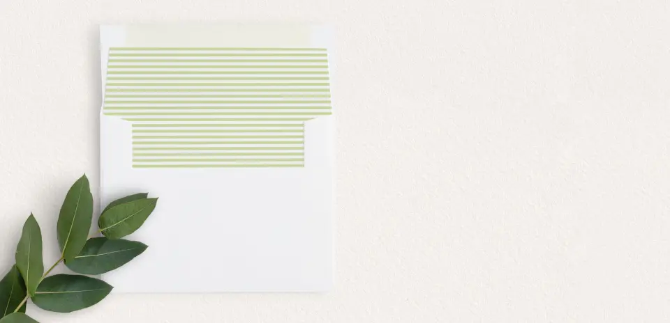 Envelope Liner