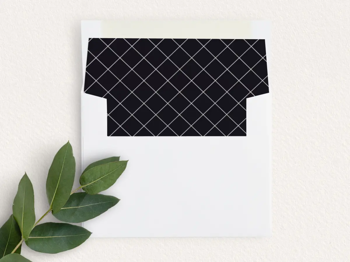 Envelope Liner
