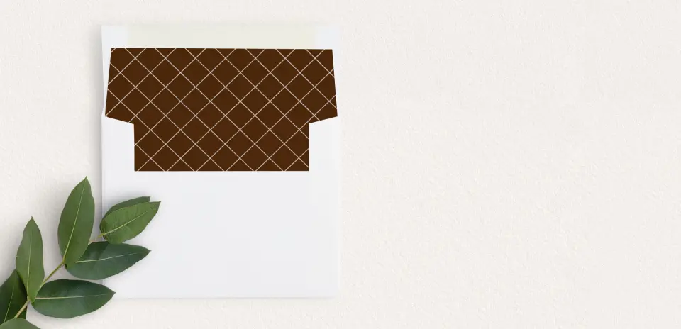Envelope Liner