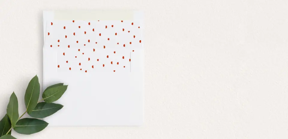 Envelope Liner