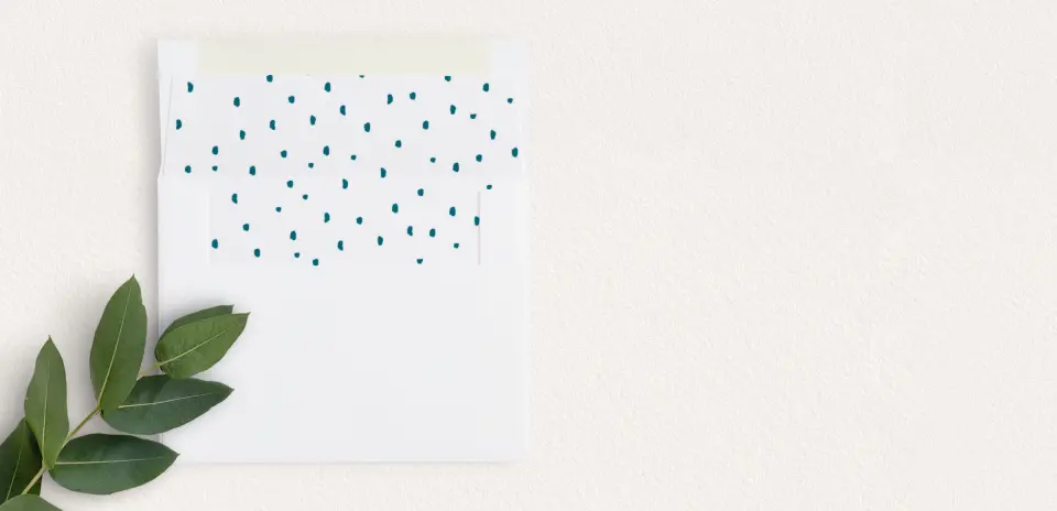 Envelope Liner