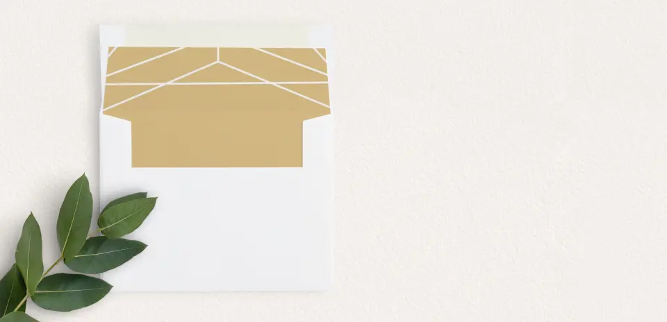 Envelope Liner