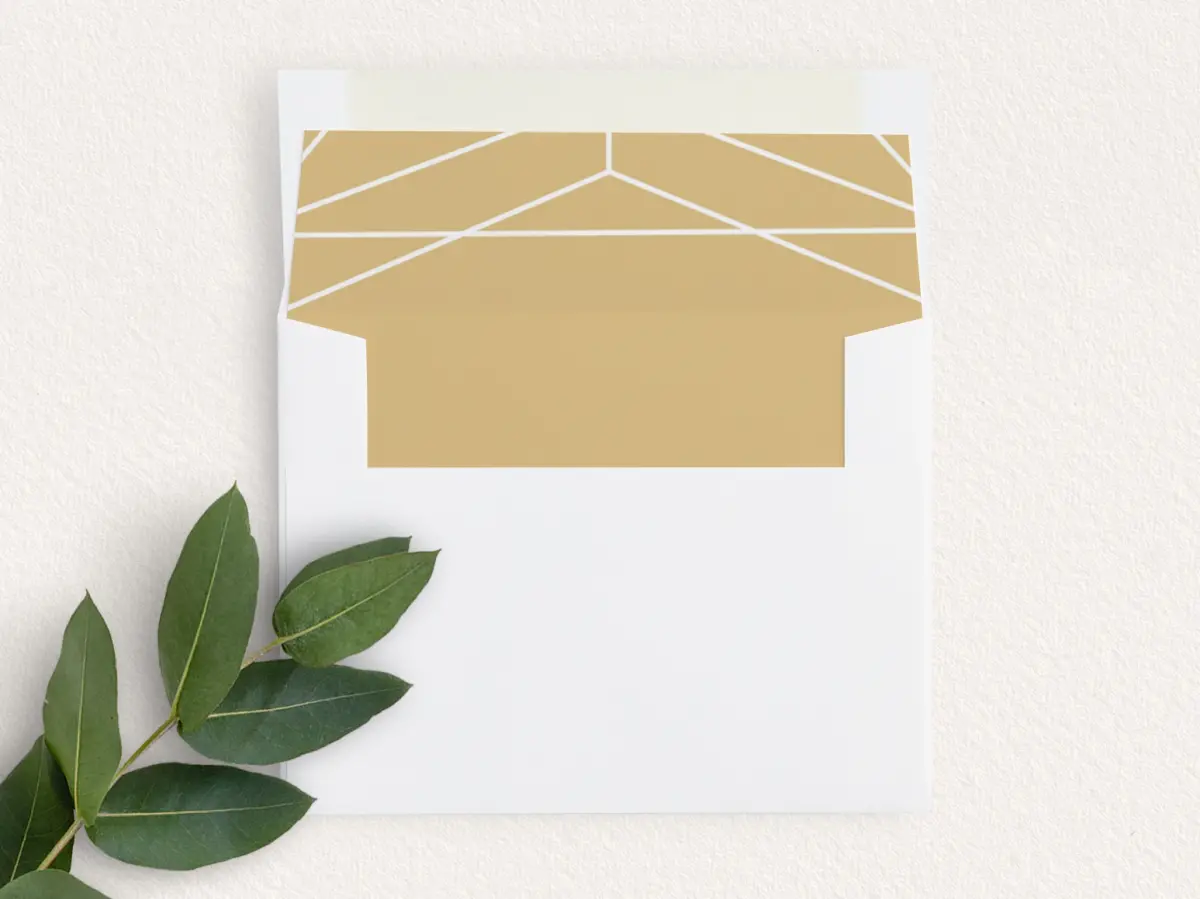 Envelope Liner