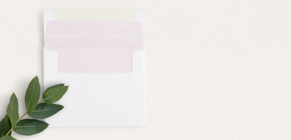 Envelope Liner