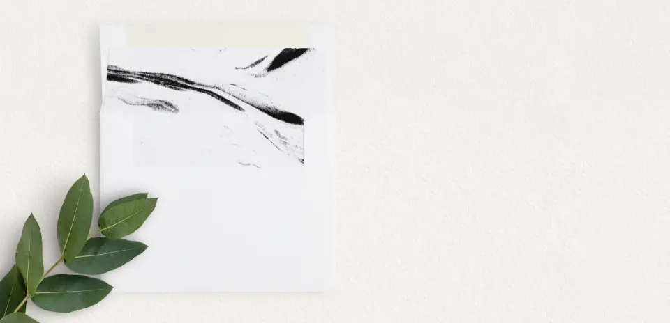 Envelope Liner
