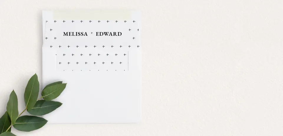 Envelope Liner