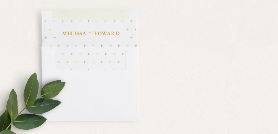 Envelope Liner