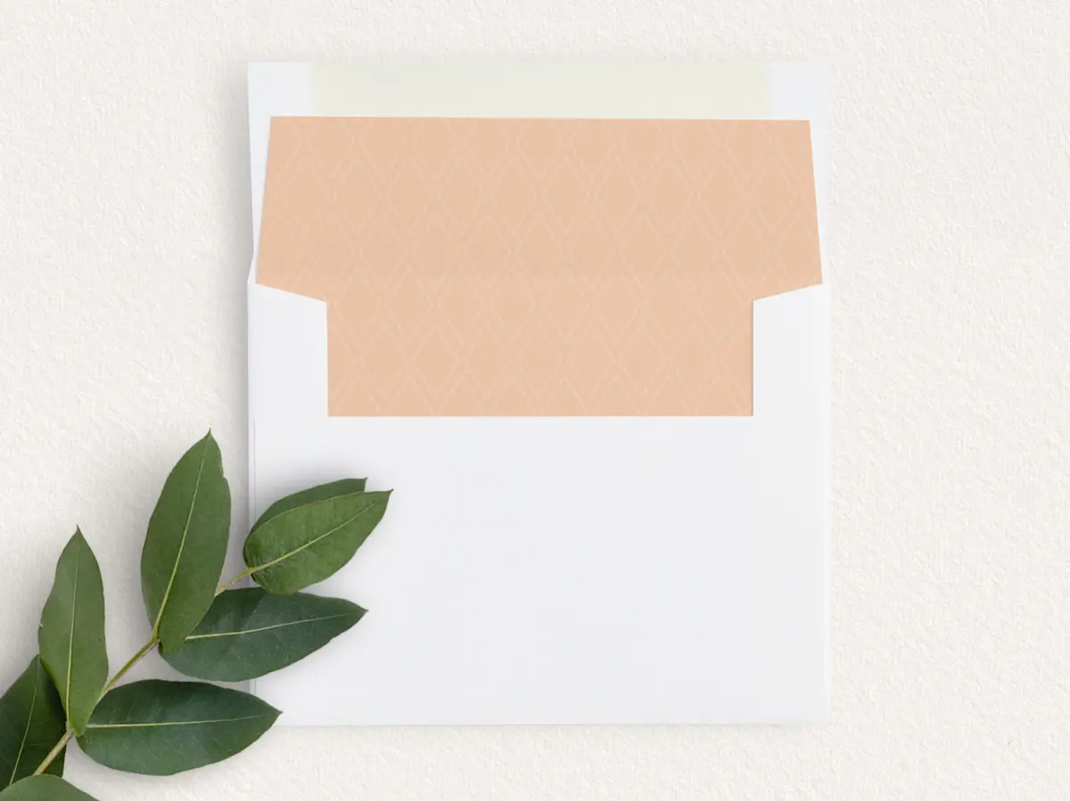 Envelope Liner