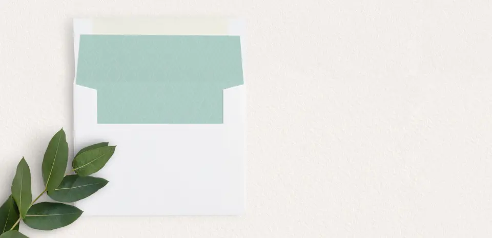 Envelope Liner