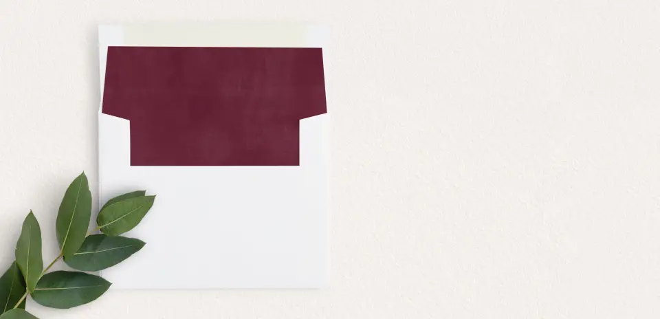 Envelope Liner