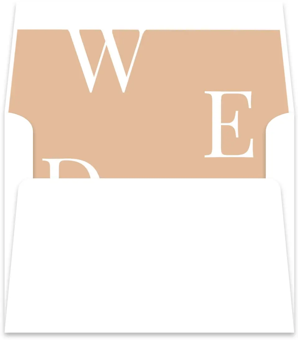 This is a  5½" x 5.9251" Envelope Liners (ELR) called Boldly We Do printed in full color
