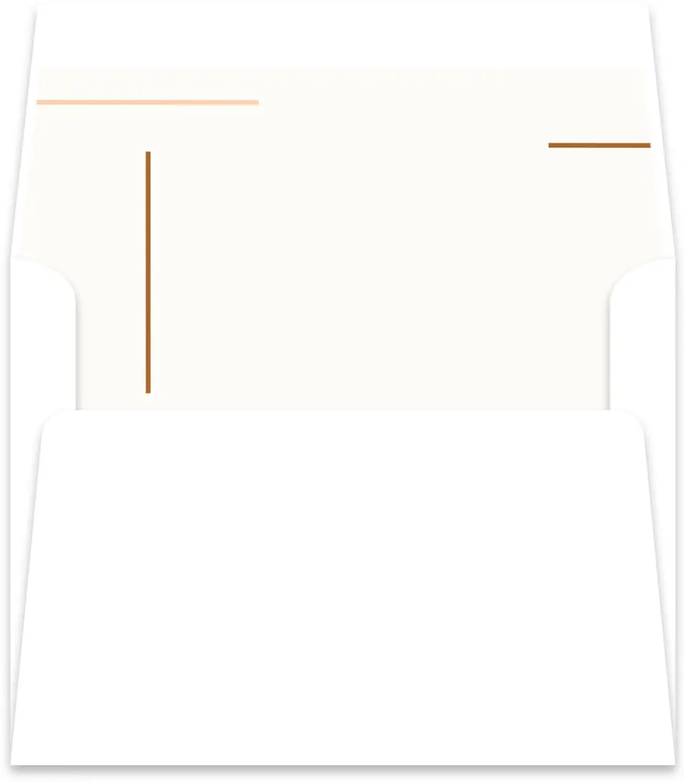This is a  5½" x 5.9251" Envelope Liners (ELR) called Playful Script printed in full color
