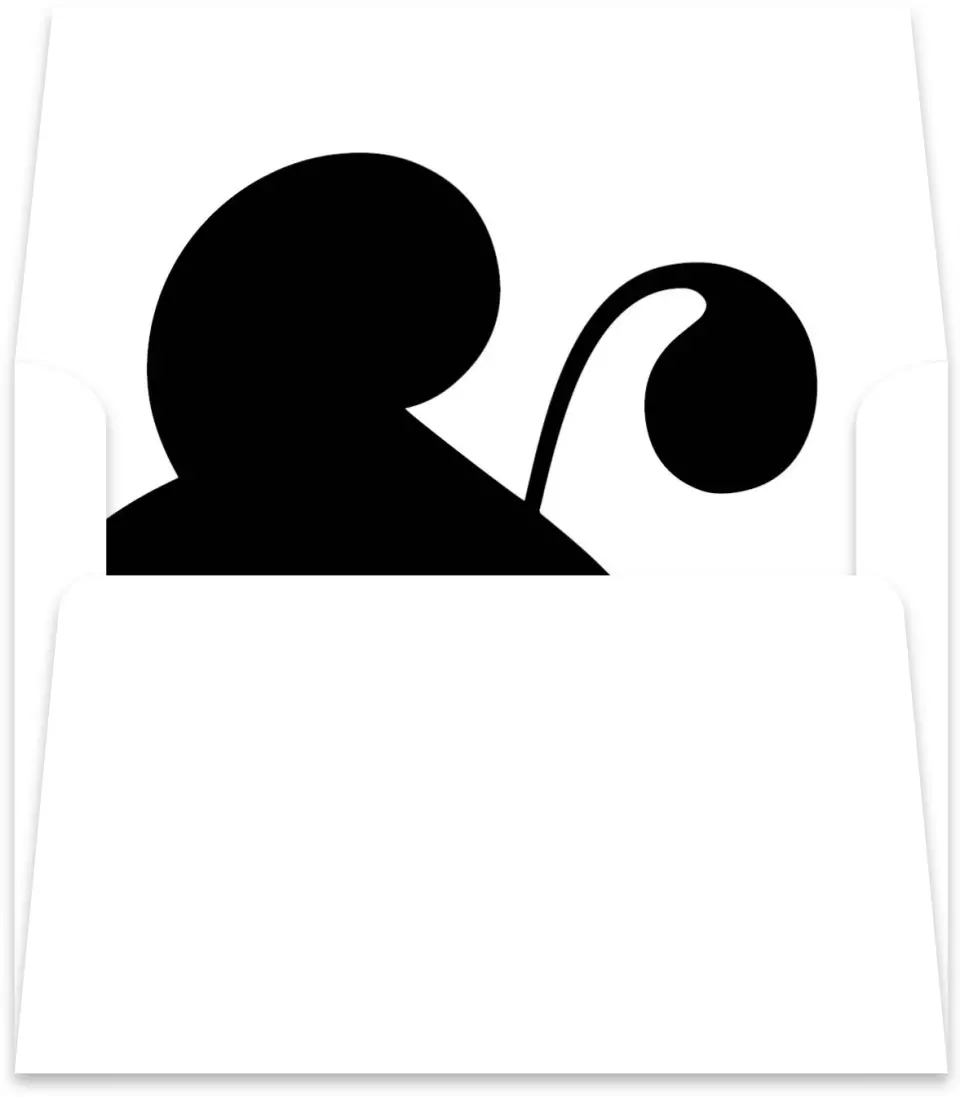 This is a  5½" x 5.9251" Envelope Liners (ELR) called Bold Ampersand printed in full color