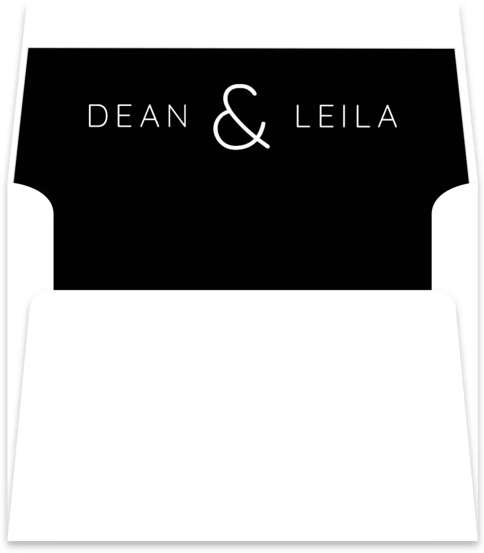 This is a  5½" x 5.9251" Envelope Liners (ELR) called Connected printed in full color