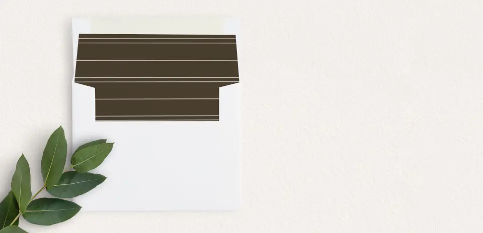 Envelope Liner