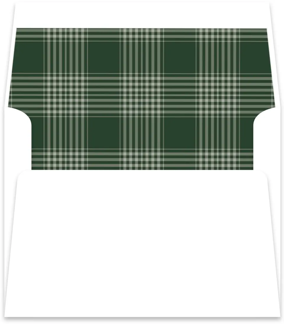 This is a Envelope Liners for 4.375 x 5.75 Card Envelope Liner called Festive Celebration printed in full color