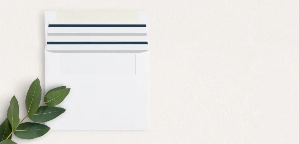 Envelope Liner