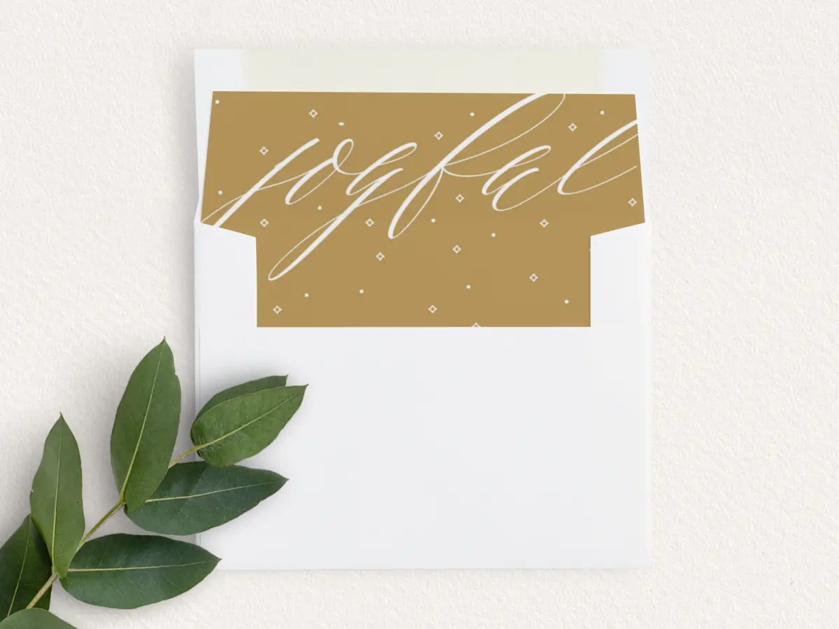 Envelope Liner