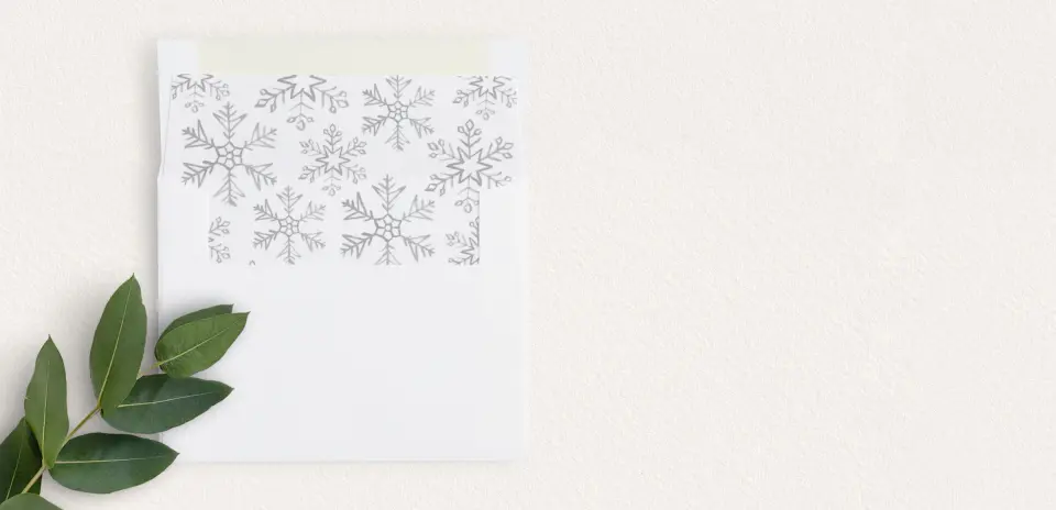 Envelope Liner