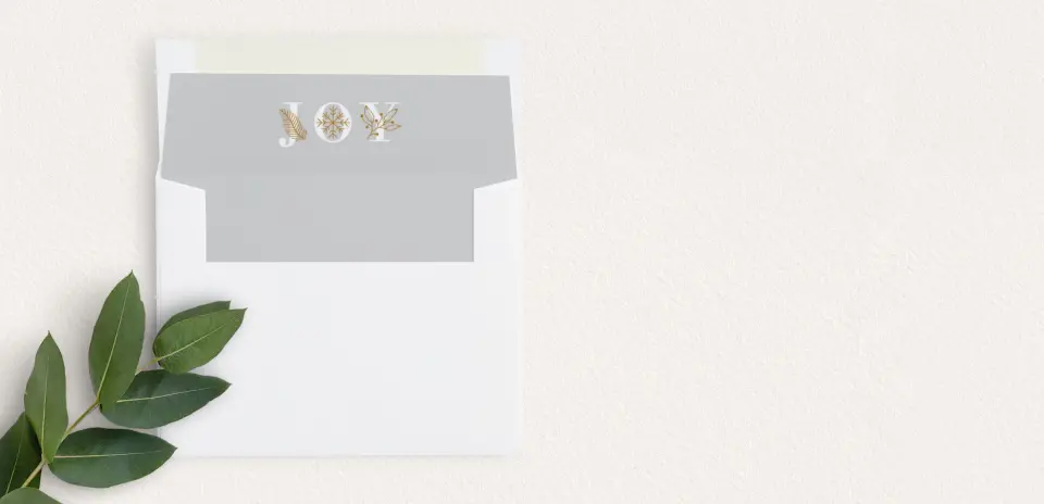 Envelope Liner