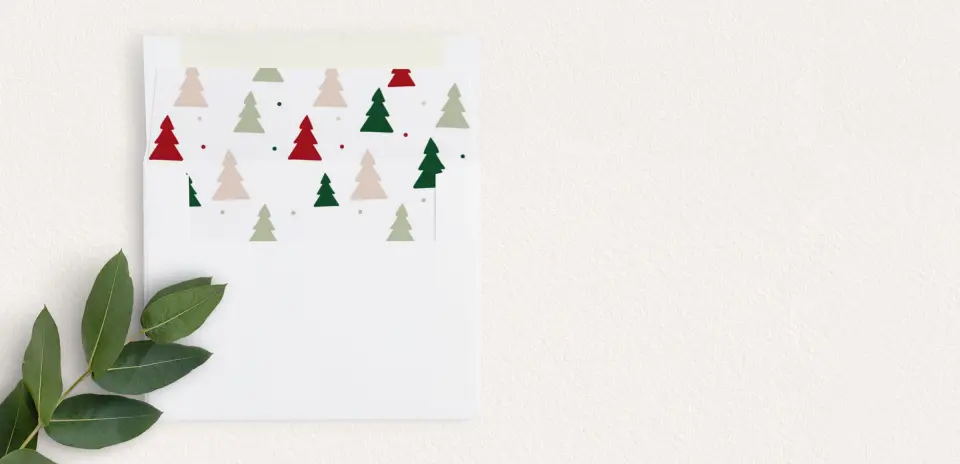 Envelope Liner