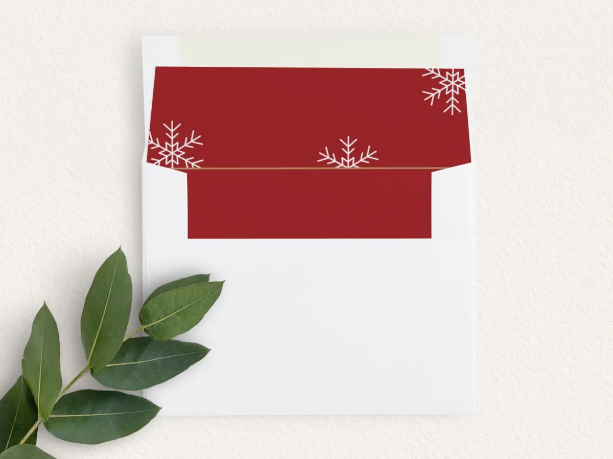 Envelope Liner