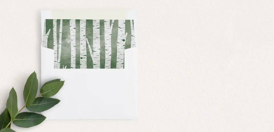 Envelope Liner