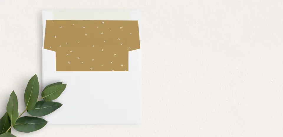 Envelope Liner