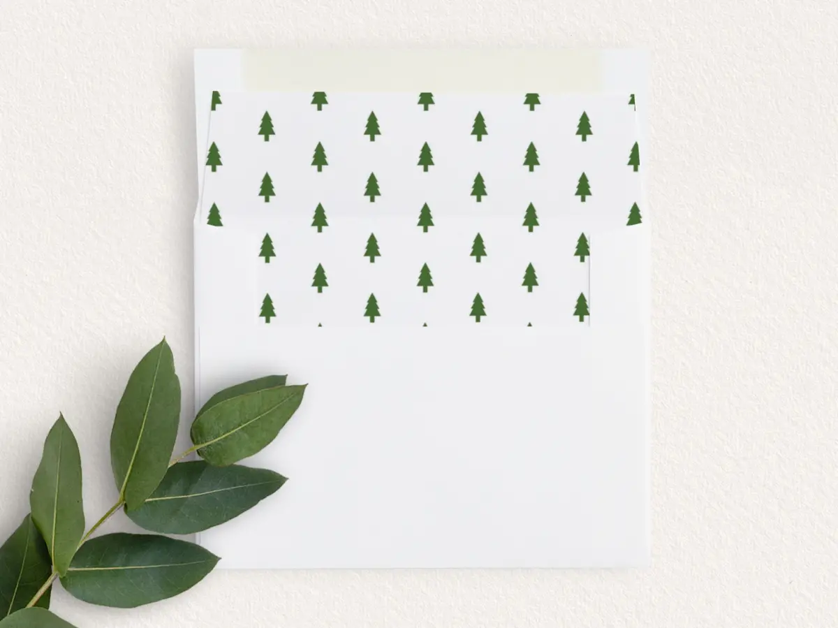 Envelope Liner