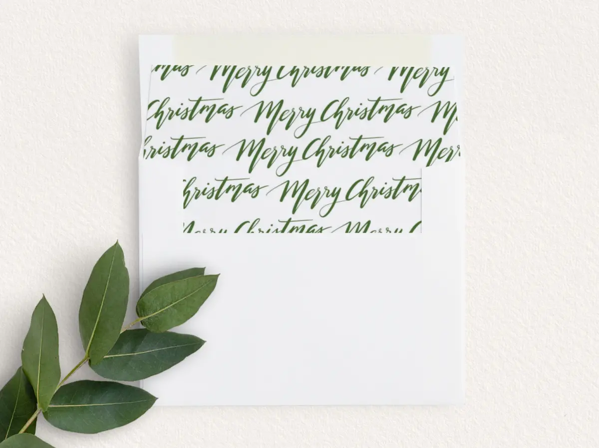 Envelope Liner