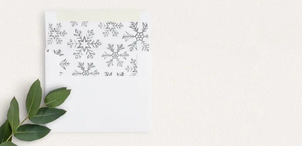 Envelope Liner