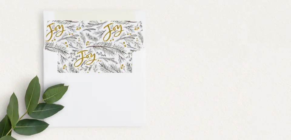 Envelope Liner